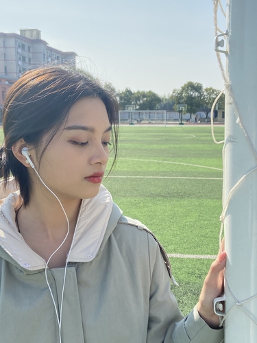 王鼎 (1)