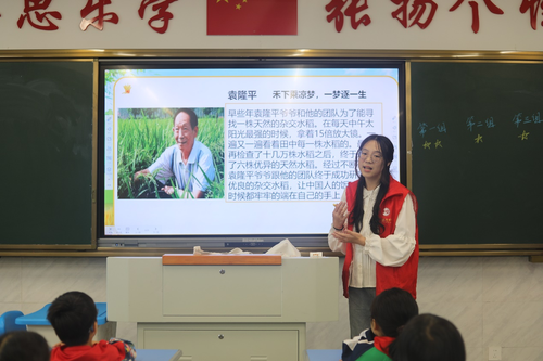 图片 2 图片 2