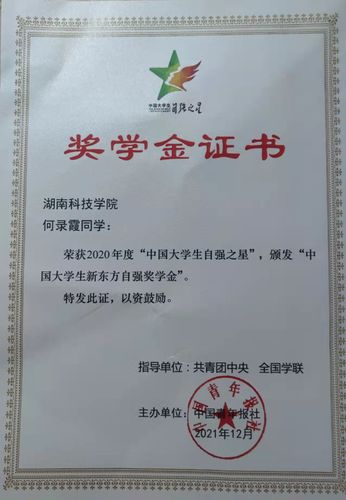 图片12 图片12