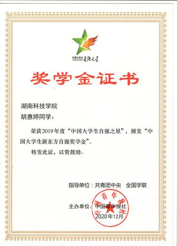 图片11 图片11