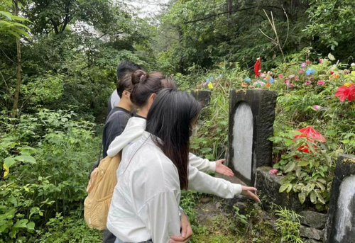图片2 图片2