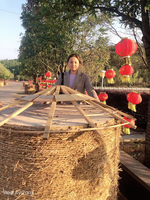 肖小爱 肖小爱