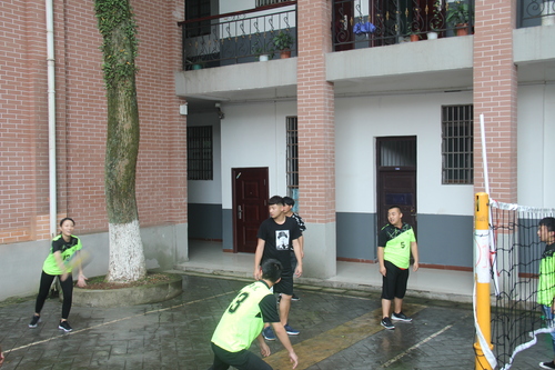 IMG_8385 IMG_8385