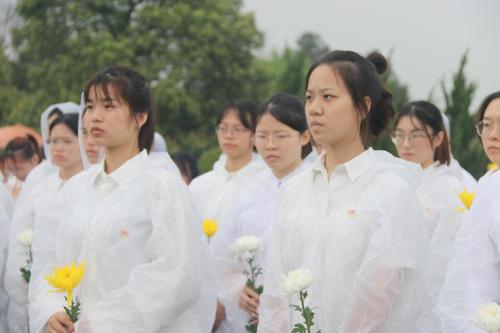图片2 图片2