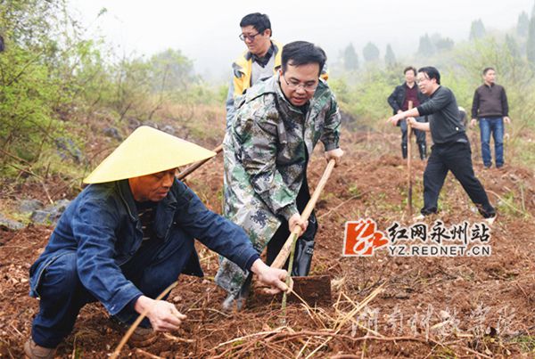 湖南科技学院党委书记陈弘与潮水铺村村支书一同种下金槐树苗