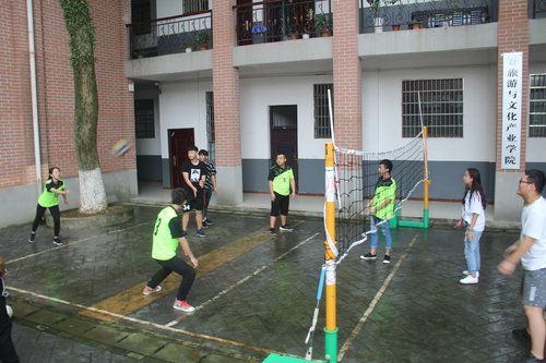 IMG_8392 IMG_8392