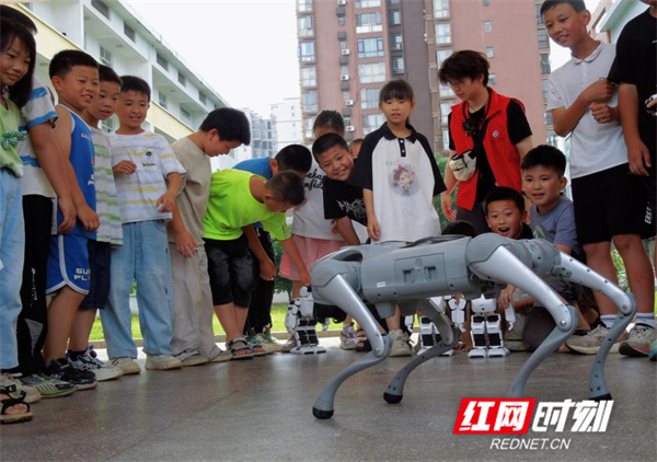 湖南科技学院智能制造学院赴永州市蘋洲小学开展科普进校园活动