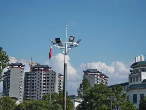 图片10 图片10