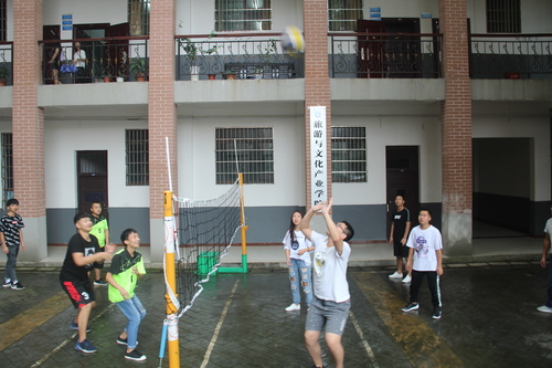 IMG_8393 IMG_8393