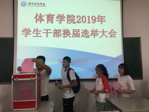 换届选举3 换届选举3