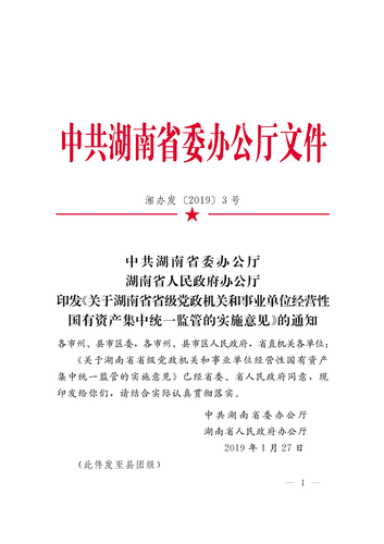 关于湖南省省级党政机关和事业单位经营性国有资产集中统一监管的实施意见