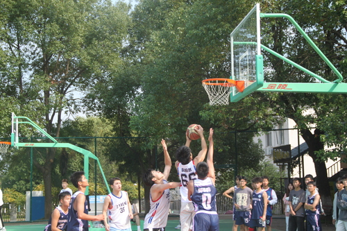 IMG_6045 IMG_6045