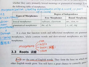 图片11 图片11